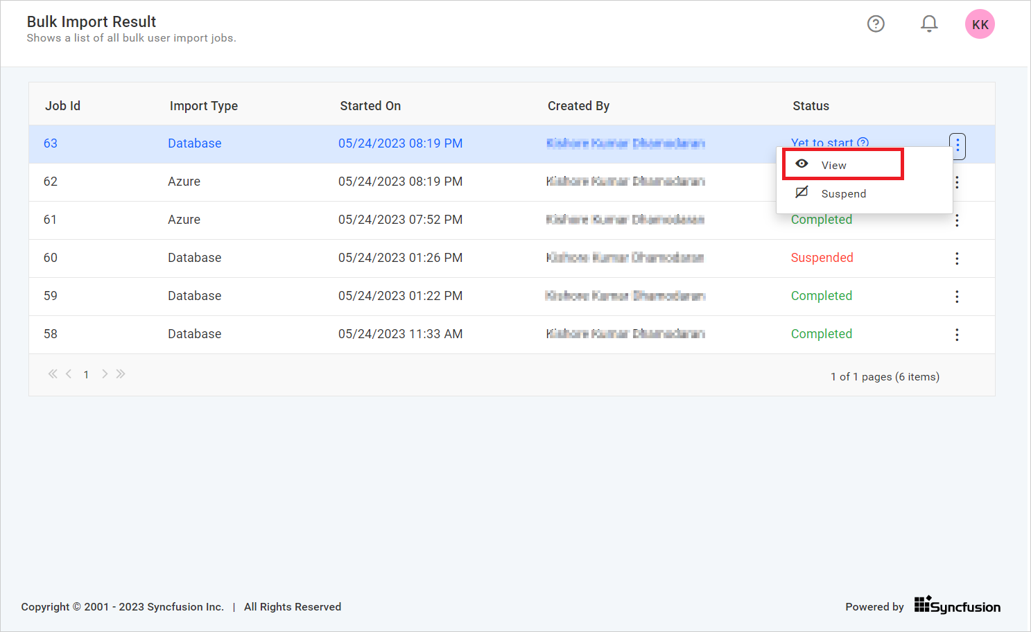 View Bulk Import Job Details