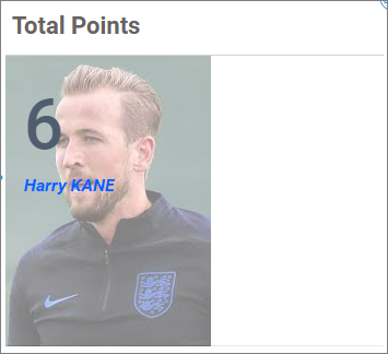 Format Customization