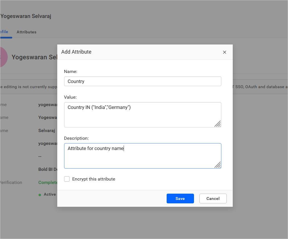 Custom Attribute Window